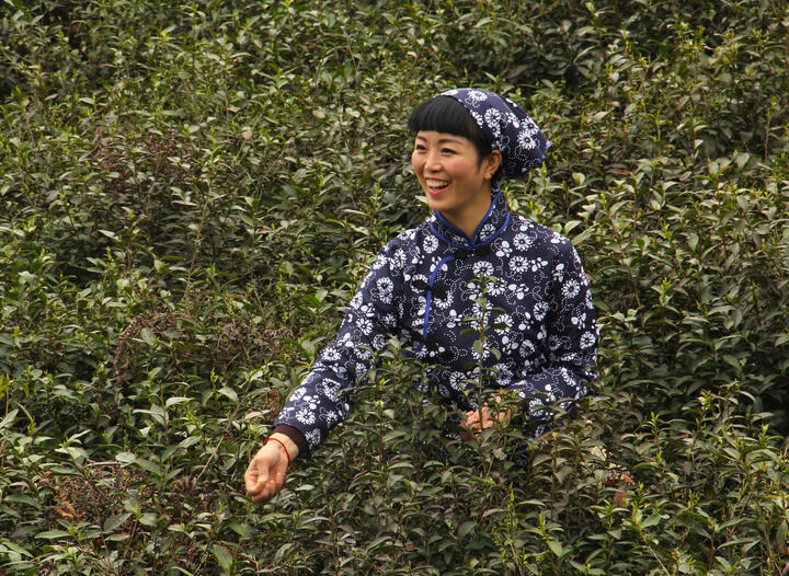 我秀直舞 侦探档案